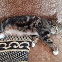 ���� ������, ���� - ��������� 12 ������ 2025 � ������ ������ ��������