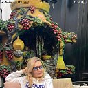 ���� ���� (�����), ��������� - ��������� 12 ������ 2026 � ������ ���� ����������