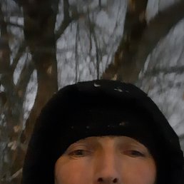 , 44 , 