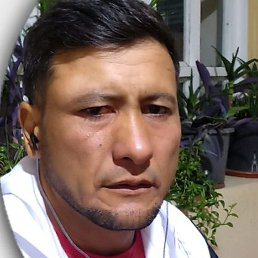 ������, �������, 41 ���