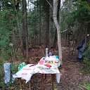 ���� ������, ������, 49 ��� - ��������� 27 ������� 2025 � ������ ������ ��������