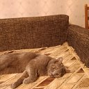 ���� �����, ���������, 52 ���� - ��������� 6 ������ 2026 � ������ ���� ����������