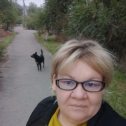 , 50, 