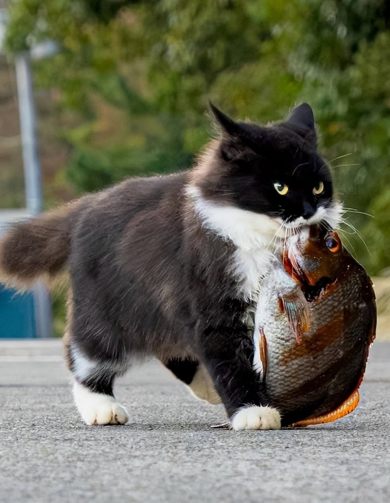 �������� �������� ���� �������� ������� ����� ���������� ����� �������� ������.