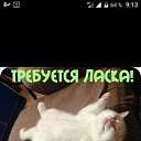 ���� ������, ������, 44 ���� - ��������� 22 ������� 2024 � ������ ���� ����������