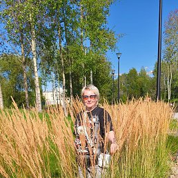 �������, �����, 50 ���