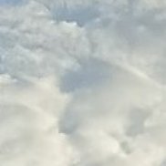 ����, 39 ���, ������