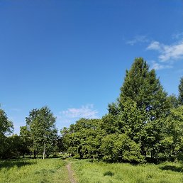 �����, ���������