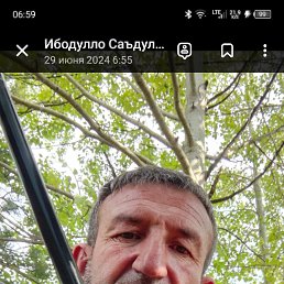 , 50, 