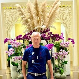 ���� ����, ������, 65 ��� - ��������� 15 ������� 2026