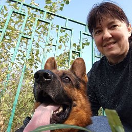 ��������, �����, 54 ����