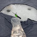 ���� ���������, ������, 69 ��� - ��������� 12 ������ 2025 � ������ ���� ����������