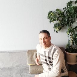 ������, 46 ���, ������