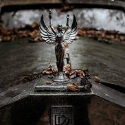 �����, 29 ���, ������