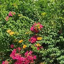 ���� ��������, ������, 64 ���� - ��������� 24 ������� 2024