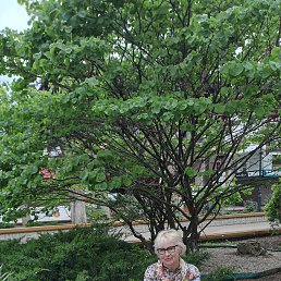 ���� ���������, ��������, 67 ��� - ��������� 2 ���� 2025