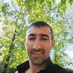 , 41, 