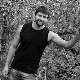 ������, �������, 38 ���