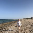 ���� �����, �����-���������, 51 ��� - ��������� 8 ��� 2026 � ������ ������� ����� ������ �������� ������������
