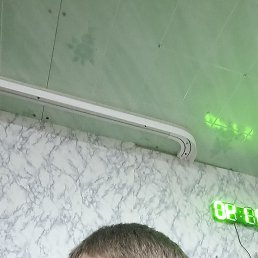 , 38, 