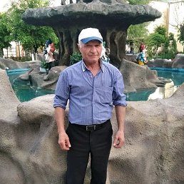 , 56, 