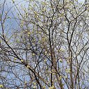 ���� �&euml;��, �������� - ��������� 27 ����� 2026