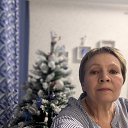 ���� ������, �����-���������, 66 ��� - ��������� 3 ������� 2026 � ������ ���� ����������