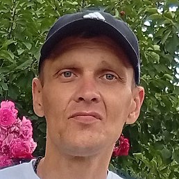 ������, ������-��-����, 38 ���