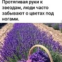 ���� �������, ���� - ��������� 26 ��� 2024 � ������ ������ ��������