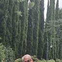 ���� ��������, ���������, 54 ���� - ��������� 24 ������ 2026 � ������ ���� ����������