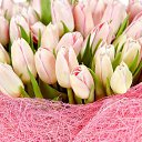 ���� ������, ������, 45 ��� - ��������� 4 ���� 2025