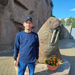 ������, 33 ����, ������