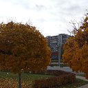 ���� ������, ������ �����, 62 ���� - ��������� 6 ������ 2025