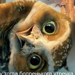 �������, ������, 49 ���