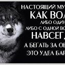 ���� ��������, ��������, 54 ���� - ��������� 27 ����� 2026