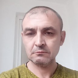 Olec, ���������, 43 ����