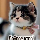 ���� �����, ���� - ��������� 30 ���� 2026 � ������ ������ ��������