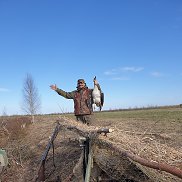 ������, 50 ���, ������