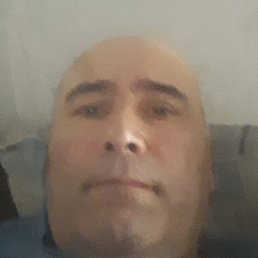 ������, ������, 46 ���