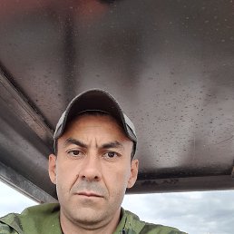 ���� ����, ������, 41 ��� - ��������� 4 ������ 2026