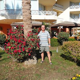 ������, ��������, 67 ���