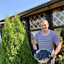 ���� ������, ������, 51 ��� - ��������� 17 ������ 2026