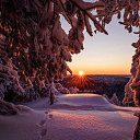 ���� �����, ���������� - ��������� 9 ������� 2025 � ������ ���� ����������