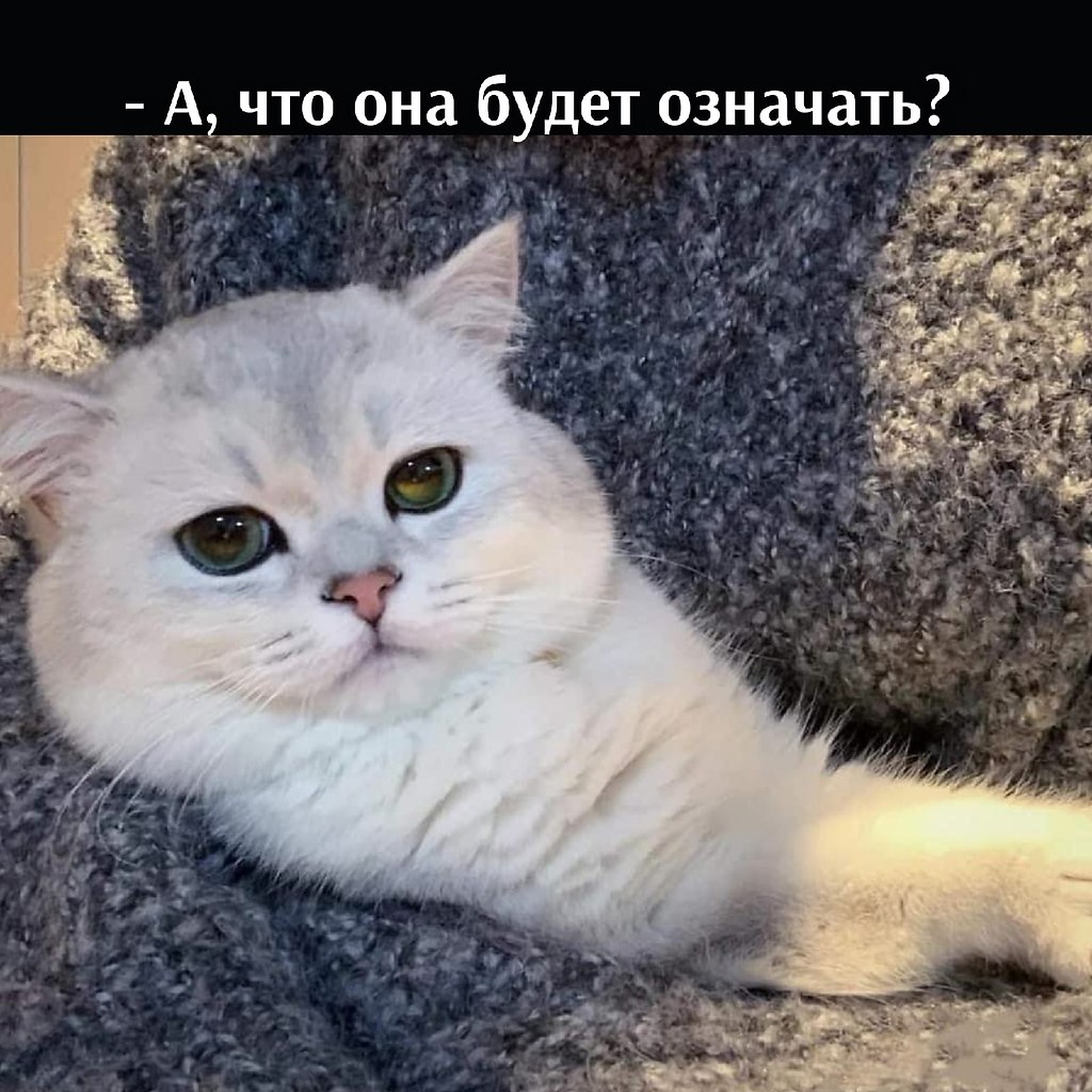  ,   - 4