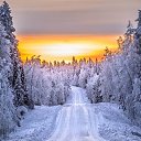 ���� ����, ������ - ��������� 20 ������� 2025 � ������ ������ ��������