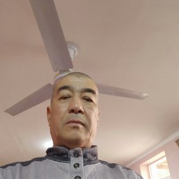 , 57, 