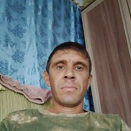 , 33, 