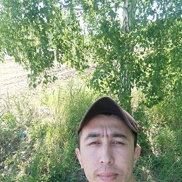 , 33, 
