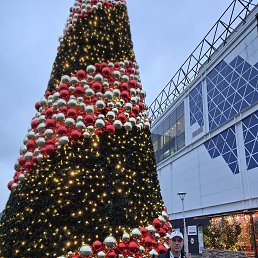 �������, 41 ���, ����