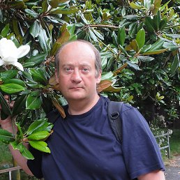 *Aleksandr*, �����������, 49 ���